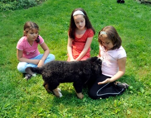 a quiet moment a quiet moment