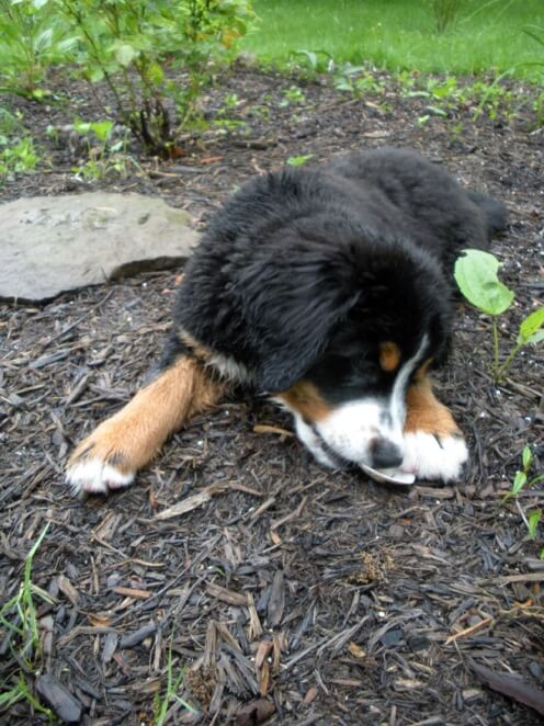 after my own heart My heart in her clamshell