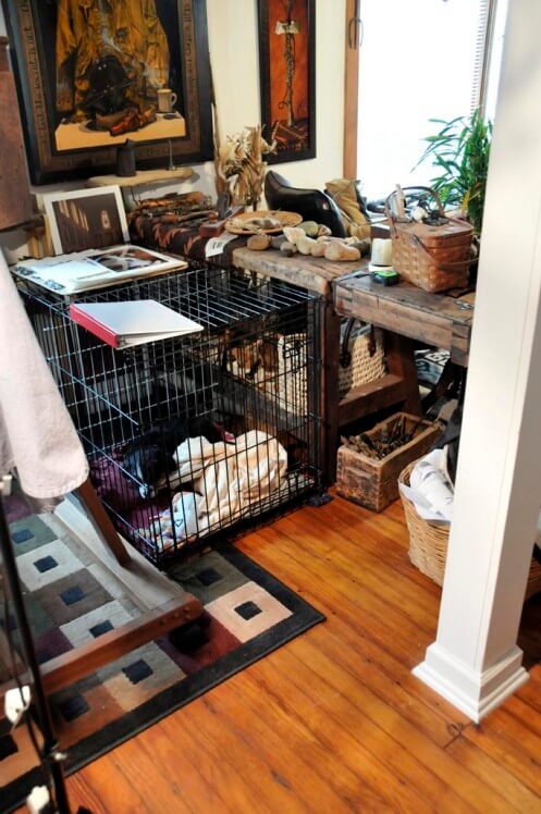 studio-kennel studio-kennel